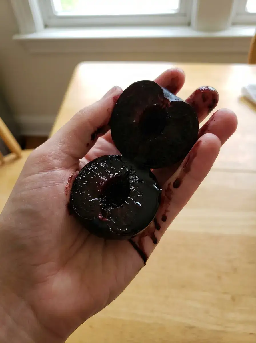 Розріз — чорна м'якоть сливи Скорпіон